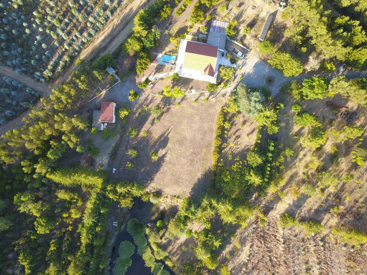 Quinta Nas Colinas Villa São Vicente da Beira Exterior foto